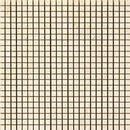 Absolute White Star Composizione D Caesar