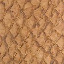 LL 1201 Chestnut | hydro Nanai