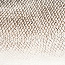 Nanai LL 1000 Nature | coated Leder: Möbelbezüge Material: Leder / Kunstleder Möbelfronten Wandbeläge / Tapeten