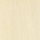 E.motion Sandy White Caesar
