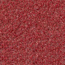 Starshine® 20 Chestnut Starshine