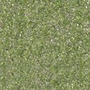 Starshine® 21 Mint Starshine