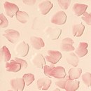 Infinià Petali Rosa Fap Ceramiche