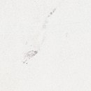 Oh! Passion Carrara Bianco Fap Ceramiche