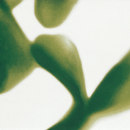 Oh! Oltre A Inserto Mix 2 Fap Ceramiche