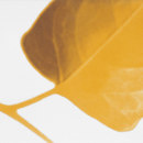 Oh! Oltre C Inserto Mix 2 Fap Ceramiche