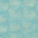 Shells VP 670 08 Elitis