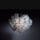 Fiorella Slamp
