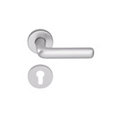 Premium 8056 timber door DORMA