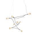 Dapple Ceiling Eight ANGO