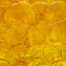B-Matrix Group Shell Tile Panel No.26 Lastre per pavimenti Madreperla Pannelli per pareti Pavimenti in madreperla Piastrelle per pareti Piastrelle per pavimenti