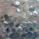 B-Matrix Group Shell Tile Panel No.3 Lastre per pavimenti Madreperla Pannelli per pareti Pavimenti in madreperla Piastrelle per pareti Piastrelle per pavimenti