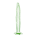 FLORA Picto