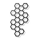 Comb-ination FLORA