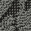 Object Carpet Web Art Lava 622 Matériau: Plastique Tapis / Moquettes