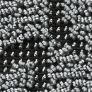 Object Carpet Web Art Lava 623 Matériau: Plastique Tapis / Moquettes
