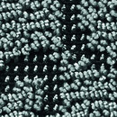 Web Art Lava 623 OBJECT CARPET