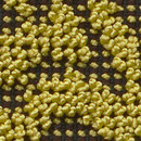 Object Carpet Web Art Lava 625 Matériau: Plastique Tapis / Moquettes