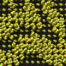 Web Art Lava 625 OBJECT CARPET