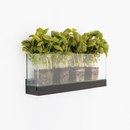 Karl Andersson Front Plant FR2 50, FRGLT250 Piccoli mobili / Complementi