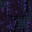 Web Art Pebble Beach 614 OBJECT CARPET