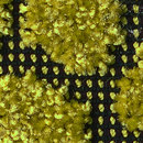 Web Art Pebble Beach 615 OBJECT CARPET