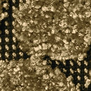 OBJECT CARPET Web Art Pebble Beach 616 Carpets / Rugs
