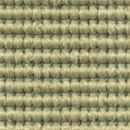 Web Classics Rips One 921 OBJECT CARPET