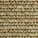 Web Structures 901 OBJECT CARPET