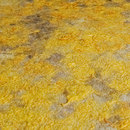 Ruckstuhl Frisian Wouw Carpets / Rugs