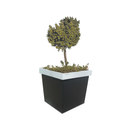 Onn Outside Marc Planter Planters / Tree guards