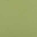 Crisp Backed 018 Sapling Maharam