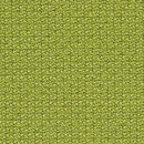 Cava 883 Kvadrat