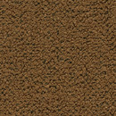 Coral 252 Kvadrat