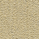 Coral 442 Kvadrat