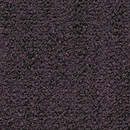 Coral 682 Kvadrat