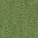Coral 832 Kvadrat