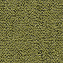 Coral 962 Kvadrat