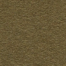 Divina 356 Kvadrat