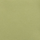 Parallel 025 Sprout Maharam