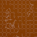 Layers Vineyard Small 005 Kvadrat