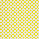 Olga 404 Kvadrat