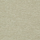 Steady 001 Cameo Maharam