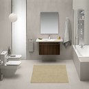 ROCA Neos II Shower fittings