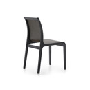 Arin Wengé Chair Alki