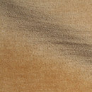 Gentle Camel Innofa