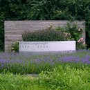 OGGI Beton Plant bed Planting