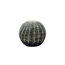 Cerruti Baleri Tattoo Cactus Lounge: Poufs / Hocker Stühle / Hocker / Bänke Wohnzimmer: Polsterhocker / Sitzsäcke
