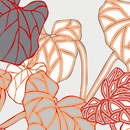 WALL & DECÒ Amazon Wallcoverings / Wallpaper