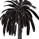 WALL & DECÒ Hula Coconut Wandbeläge / Tapeten